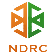 What are the definitions of the NCR DHS Status Codes?