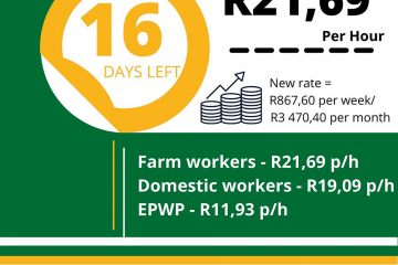 South Africa Minimum Wages