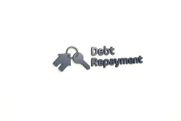 Debt Repayment